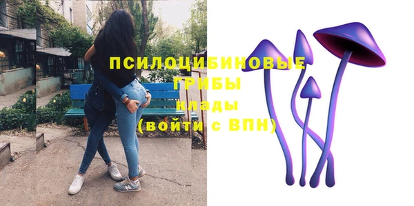 2c-b Верея