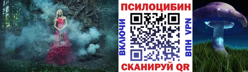 Галлюциногенные грибы Psilocybine cubensis  где продают   Кинель 